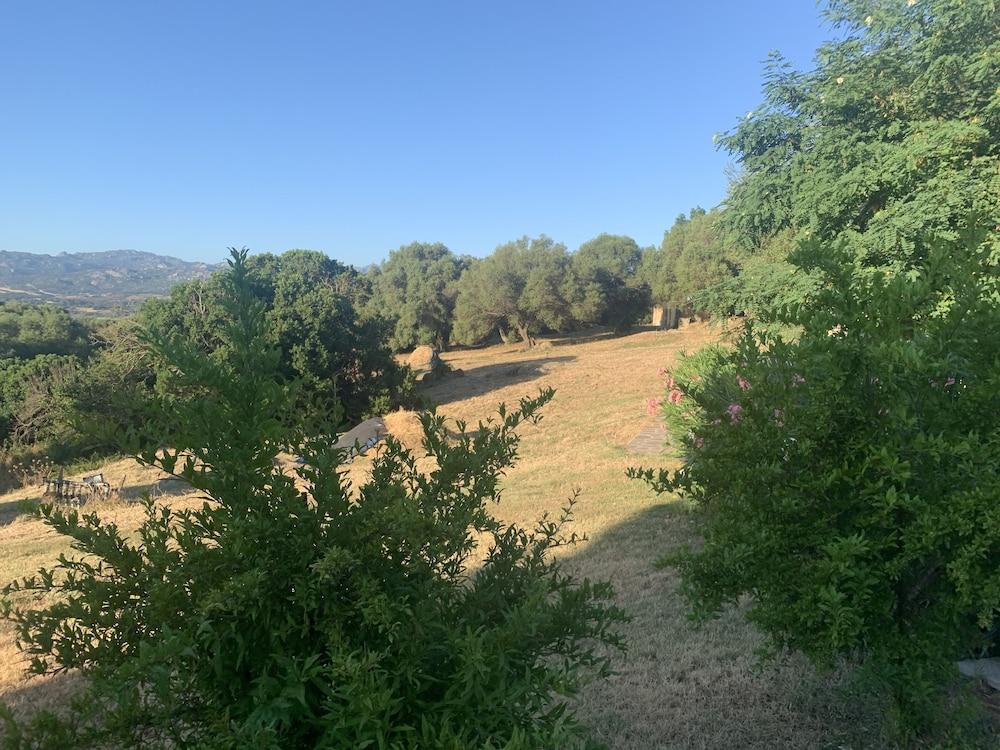 Liscia Country Relais Guest House Sant'Antonio di Gallura Exterior photo