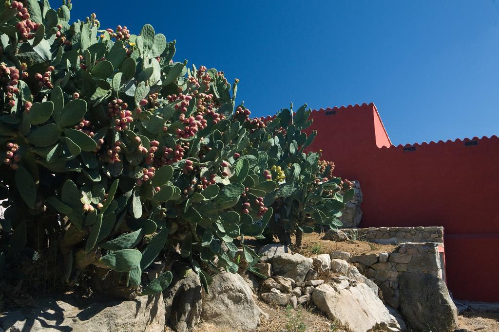 Liscia Country Relais Guest House Sant'Antonio di Gallura Exterior photo